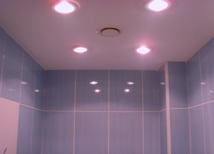 Настенно-потолочный светильник для ванной комнаты